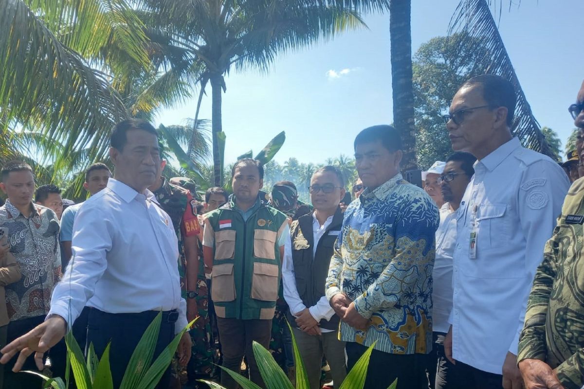 Mentan minta aparat hukum awasi ketat pengembangan kelapa di Sulut