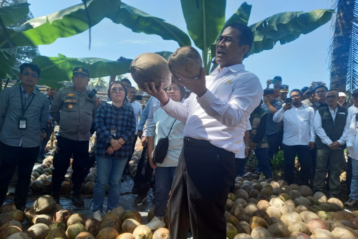 Mentan sidak pengembangan benih kelapa di Sulut
