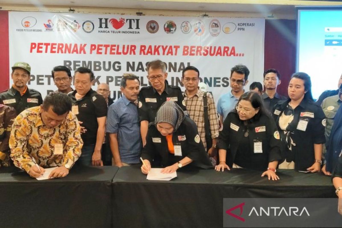 Pinsar Petelur minta pemerintah jamin swasembada telur ayam
