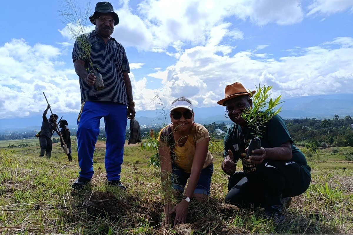 Pemprov Papua Pegunungan tanam 3.000 pohon pada momentum Hardiknas