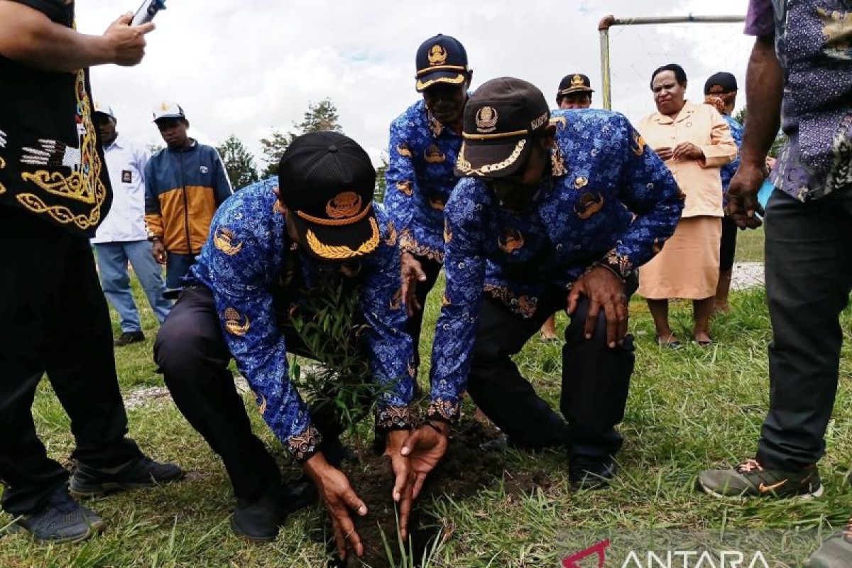 Disdikbud Papua Pegunungan tanam 100 pohon di SMA Kristen Wamena