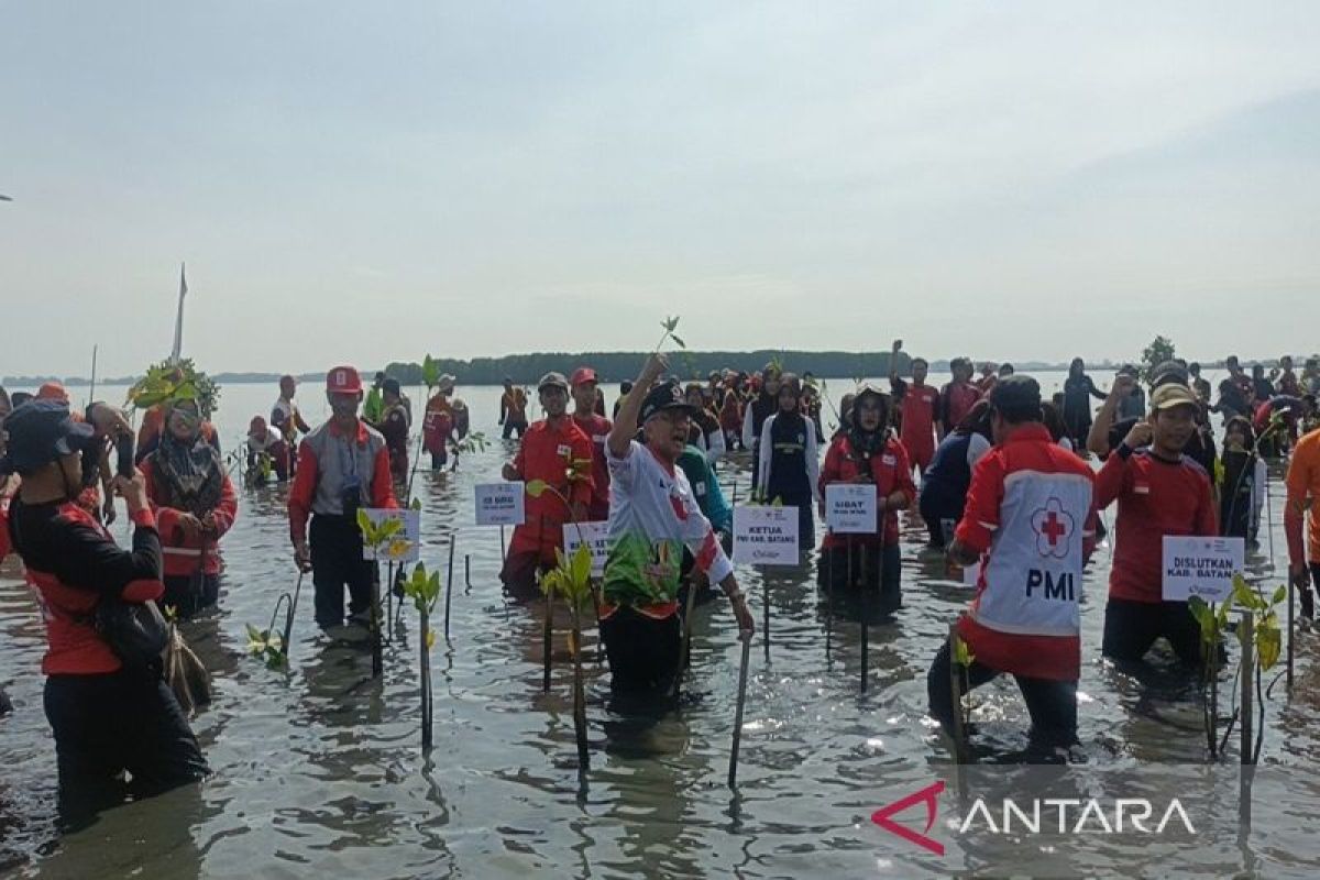 Kawasan rob jadi objek wisata perikanan di Batang