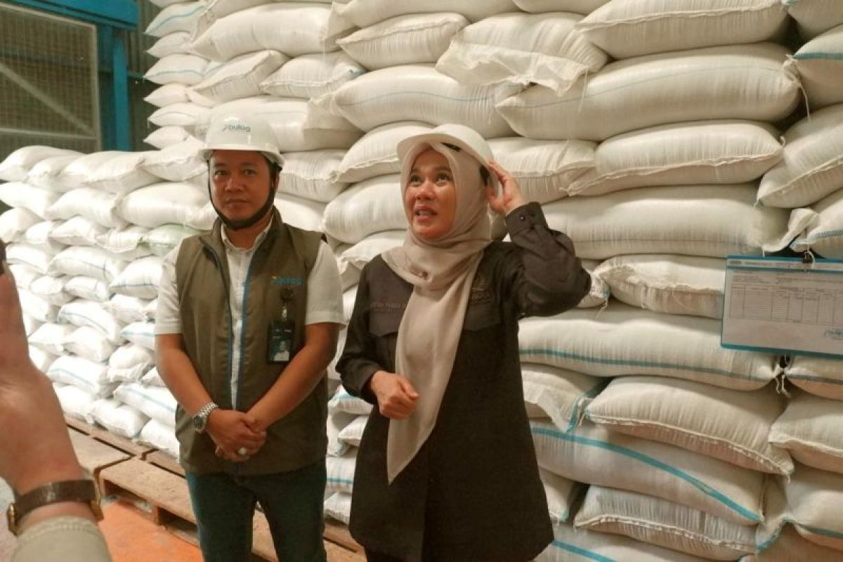 Pastikan stok beras aman, Anggota DPR Kartika Sandra Desi sidak Gudang Bulog Lubuklinggau