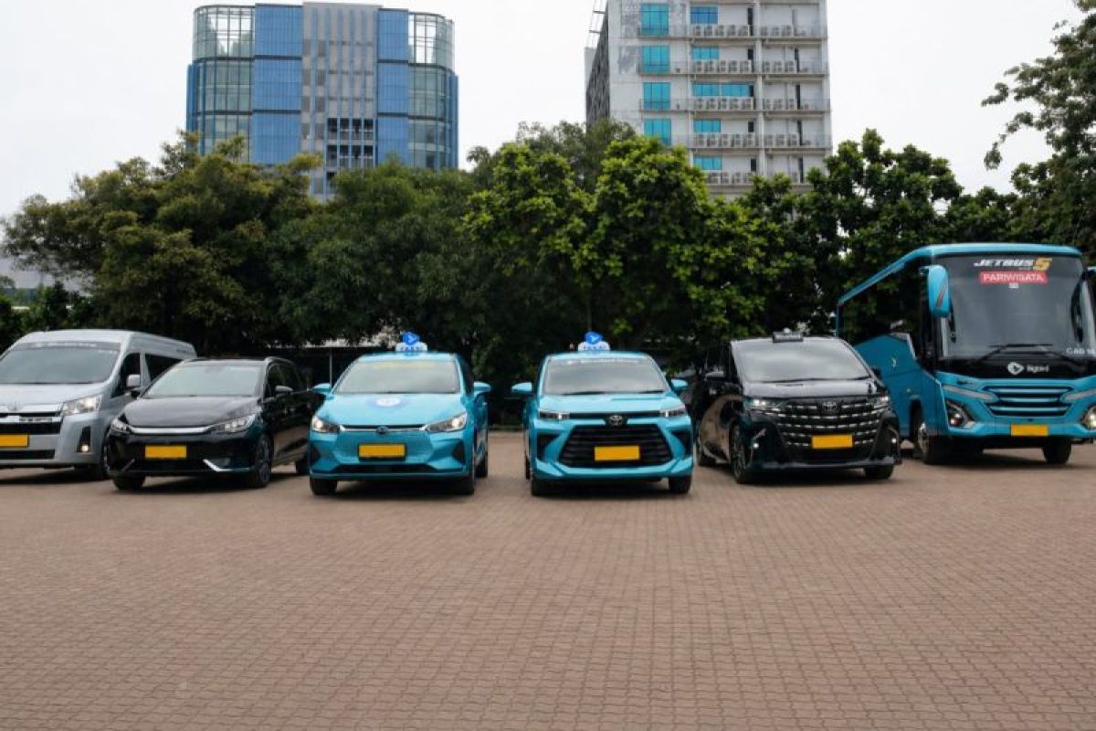 Bluebird catat pertumbuhan pendapatan 11,6 persen pada kuartal I