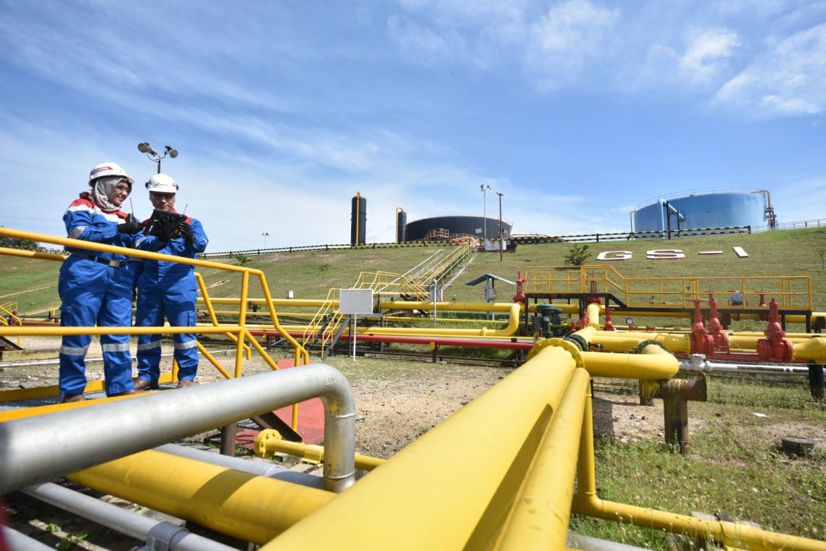 Pertamina Temukan Aliran Minyak Baru di Sumur Lepas Pantai Jawa Barat Utara