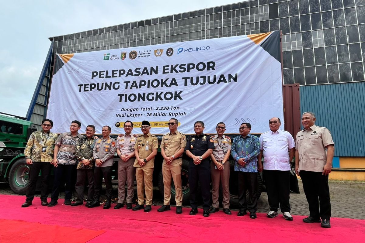 Barantin terus dorong ekspor tapioka Lampung tembus pasar global 