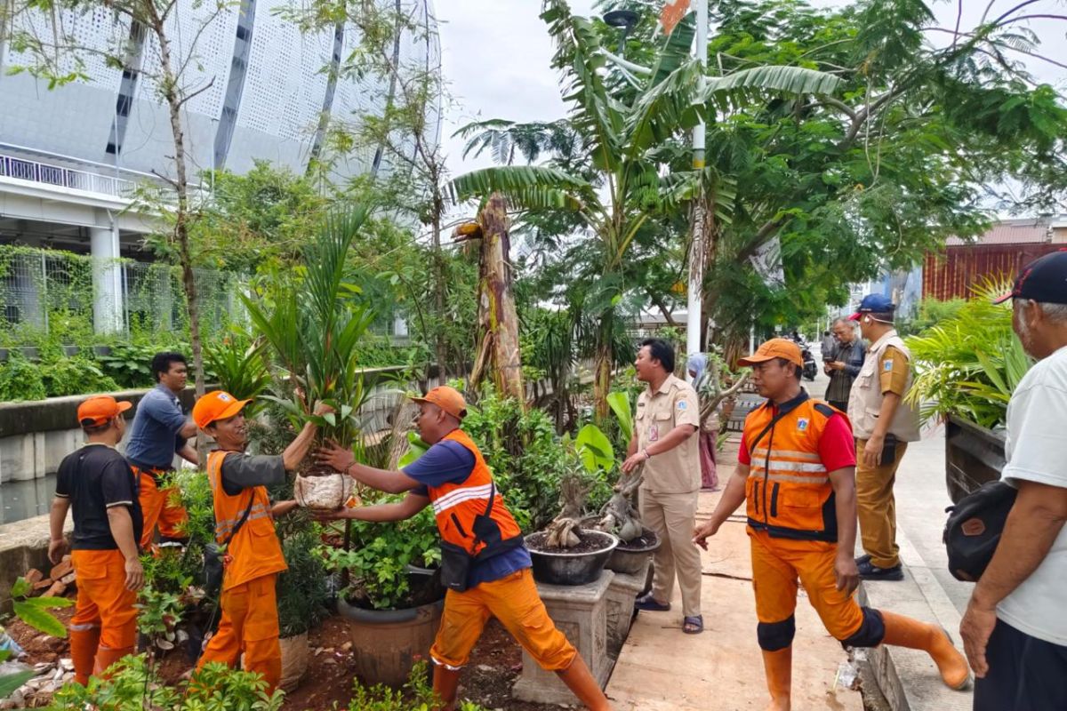 Pemkot tertibkan pedagang tanaman hias di Danau Bisma Tanjung Priok