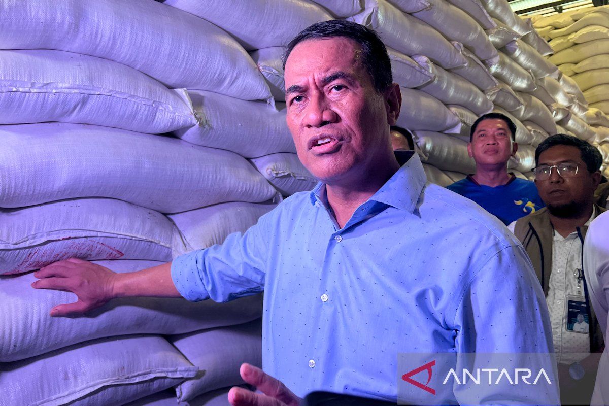Pemerintah perkuat intervensi jaga harga pangan di produsen-konsumen