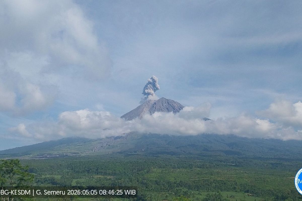 Badan Geologi: Aktivitas vulkanik Gunung Semeru masih tinggi