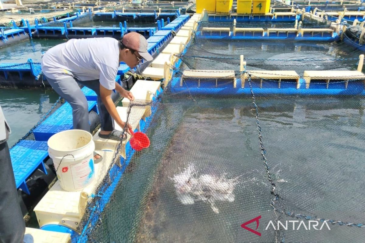 Tumbuhnya sumber ekonomi baru nelayan di pesisir Pulau Kundur