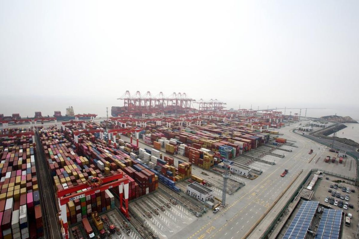 Pelabuhan Shanghai Lampaui 50 Juta TEU, Cetak Rekor Dunia