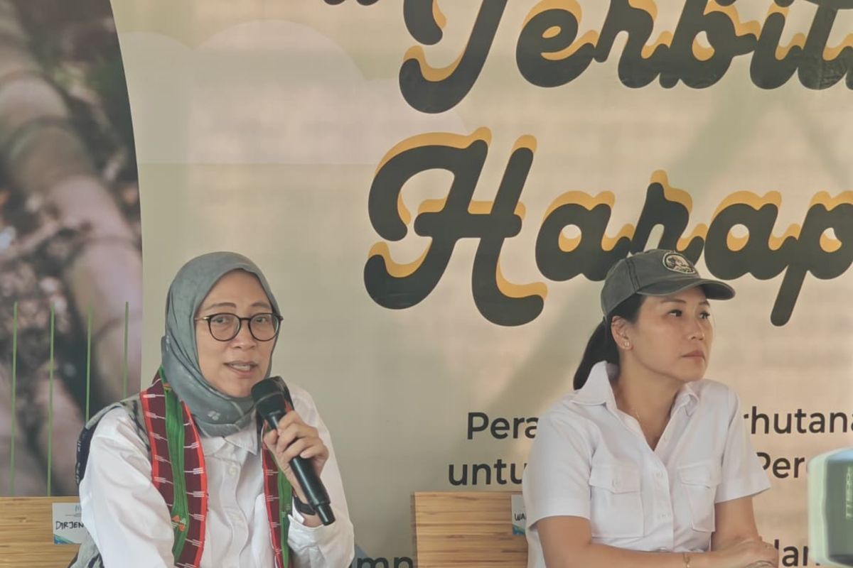 Kemenhut terbitkan enam SK Perhutanan Sosial khusus perempuan di NTT