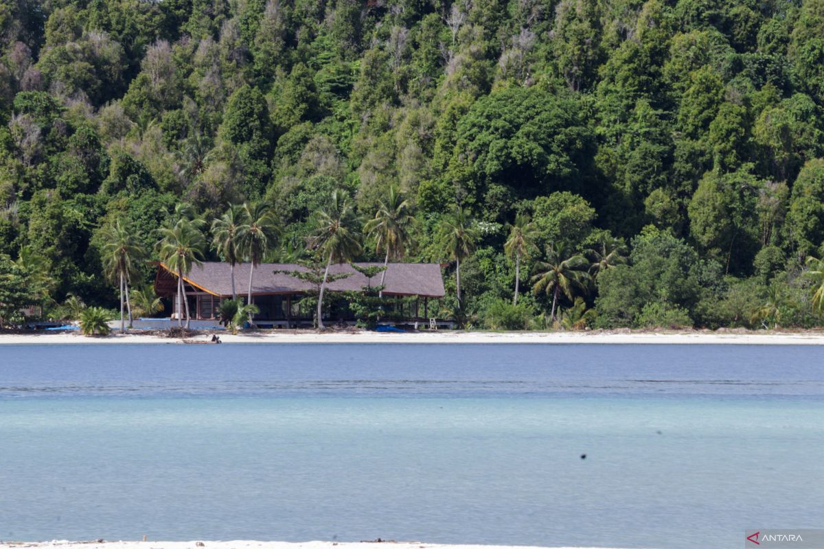 Pemprov: Mentawai perkokoh identitas jadi lokasi selancar kelas dunia