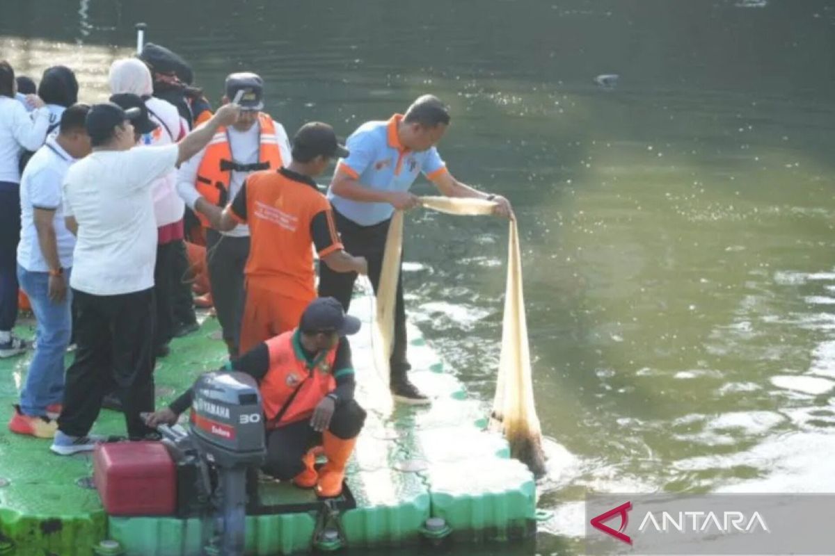 Pemprov DKI sebut penanganan ikan sapu-sapu harus libatkan daerah hulu