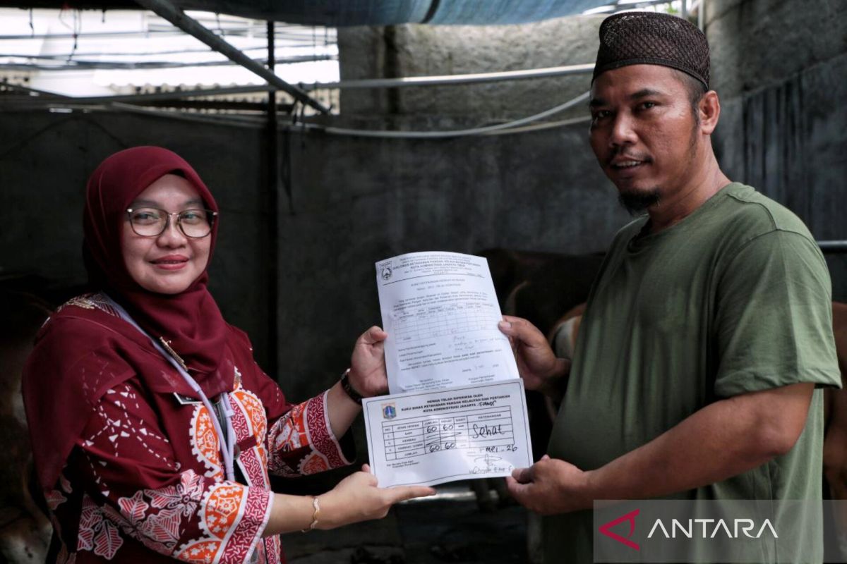 Sudin KPKP Jaktim pasang stiker SKKH di lokasi penjualan hewan kurban