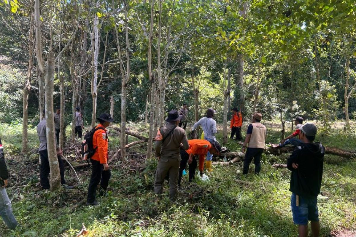 Lansia di Bone hilang di perkebunan, keluarga cemas