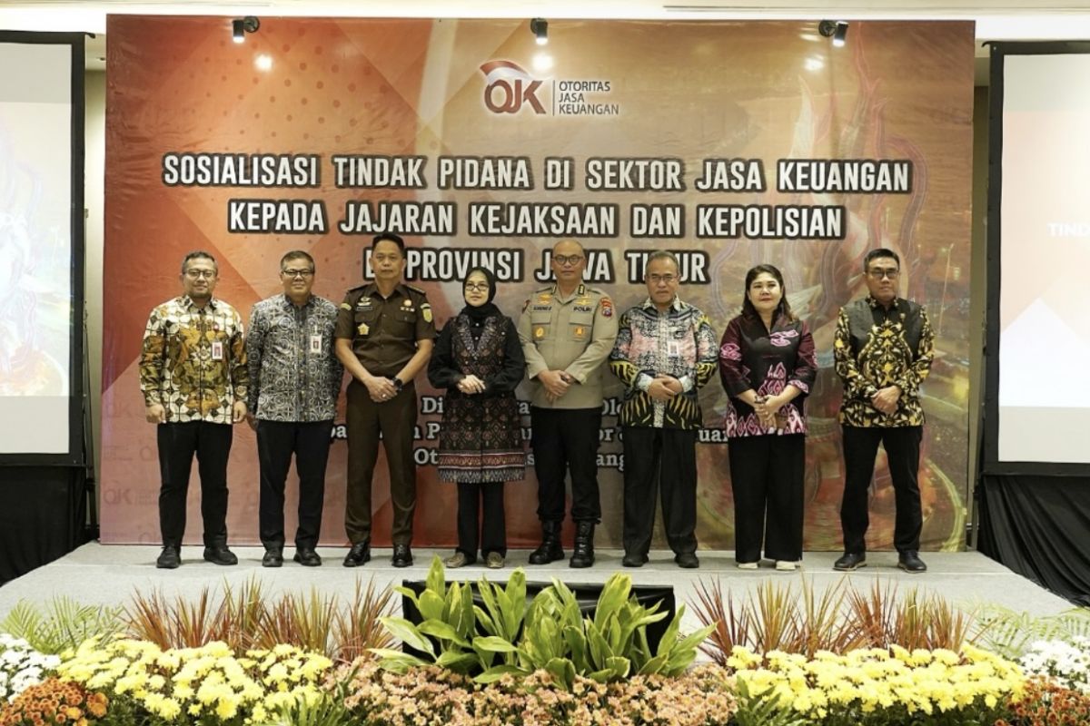 OJK ajak APH perkuat penegakan hukum tindak pidana jasa keuangan