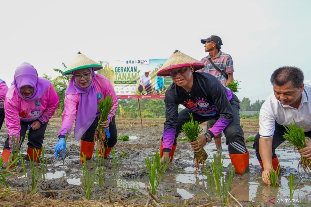 Cakung jadi cakupan lahan terbesar gerakan tanam di Jakarta Timur