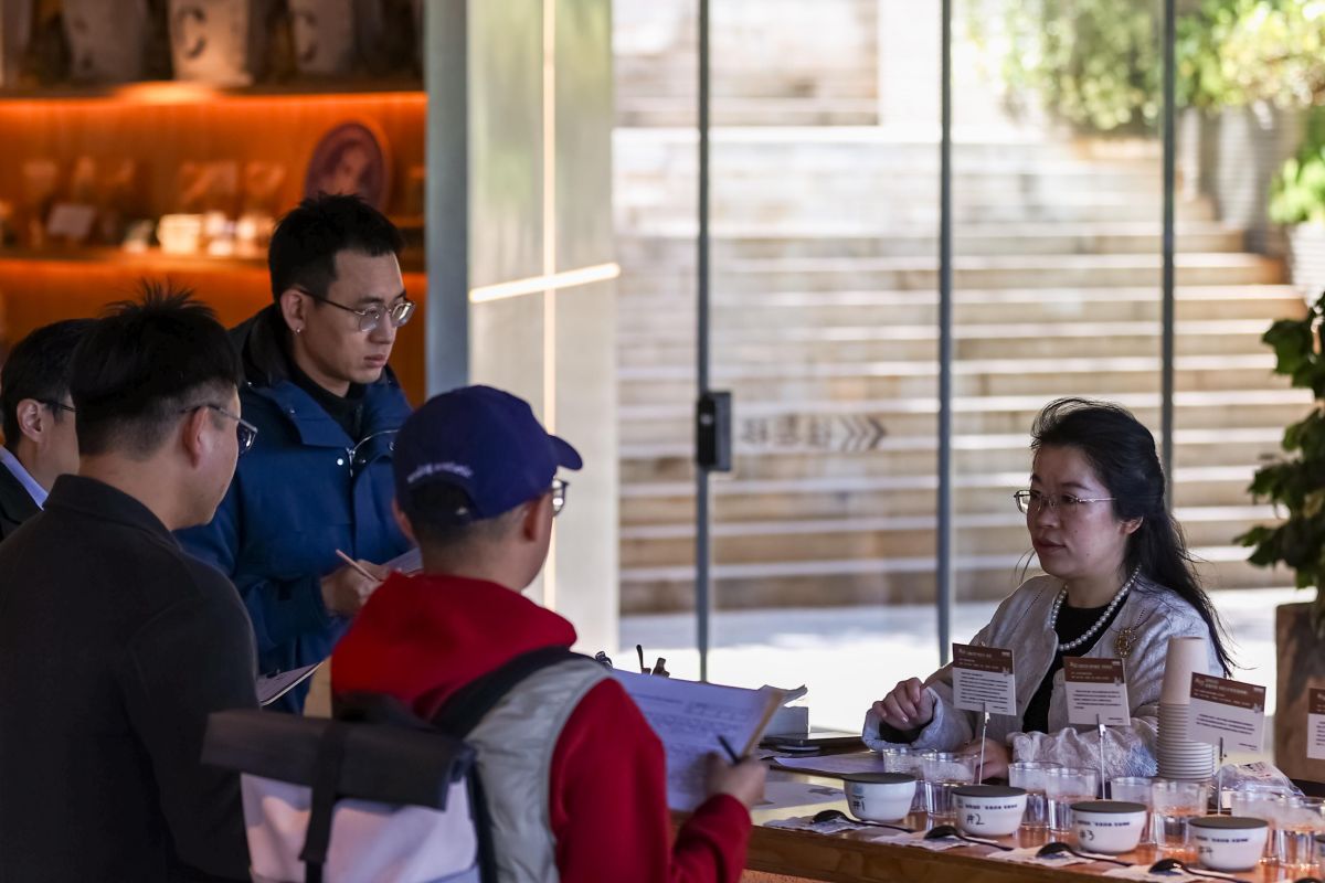 Yunnan genjot revitalisasi pedesaan melalui pariwisata kopi terpadu