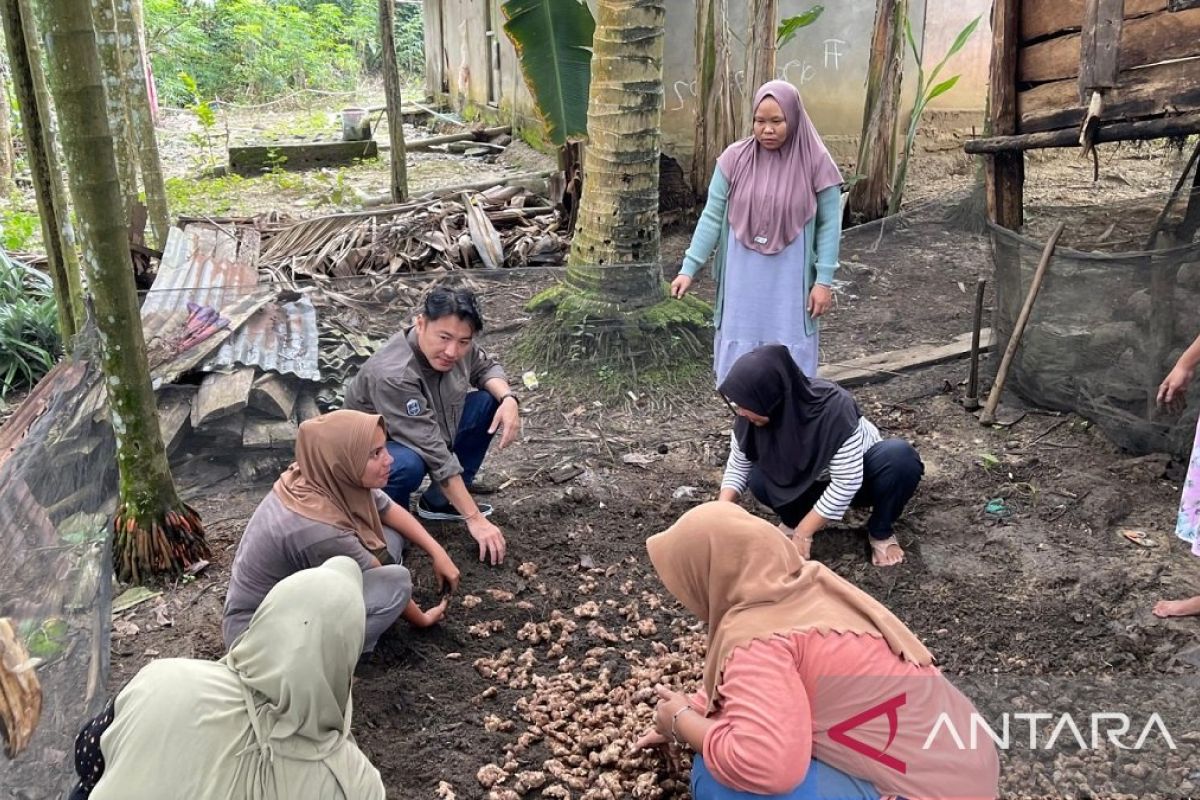 PT EMP Tunas Energi Latih Kelompok Tani Hortikultura di Wilayah Operasi Migas