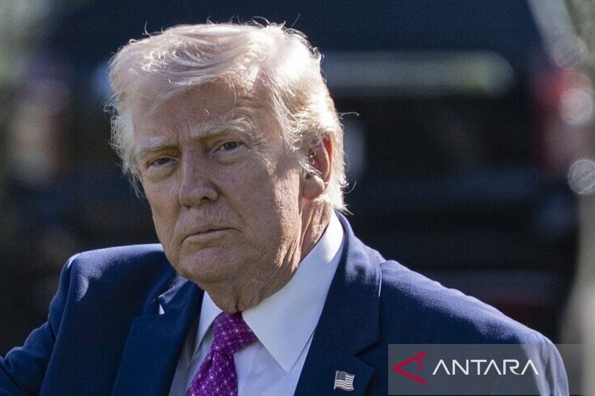 Trump umumkan gencatan senjata perang Rusia-Ukraina