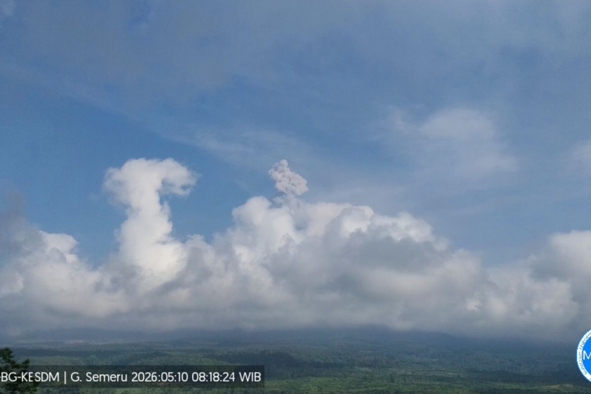 Gunung Semeru erupsi dengan letusan setinggi 1.000 meter