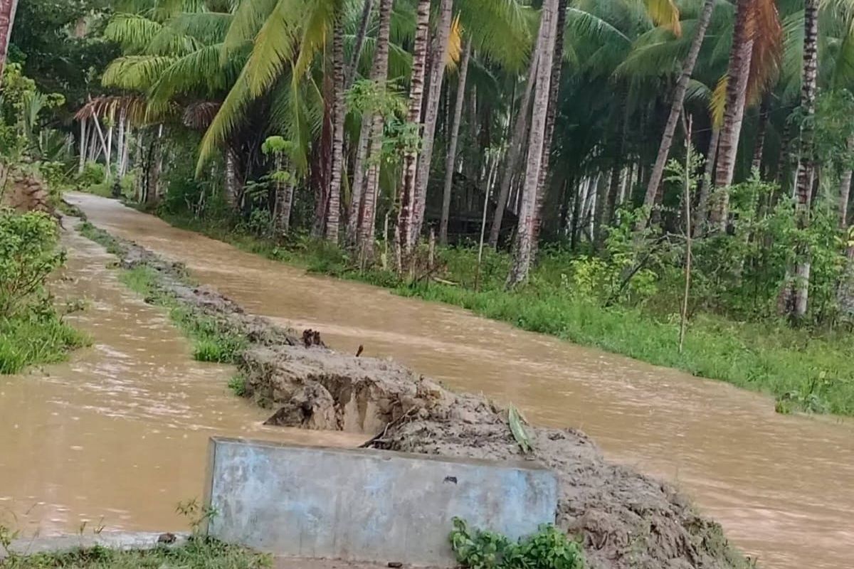 Dua desa terendam banjir di Parigi Moutong