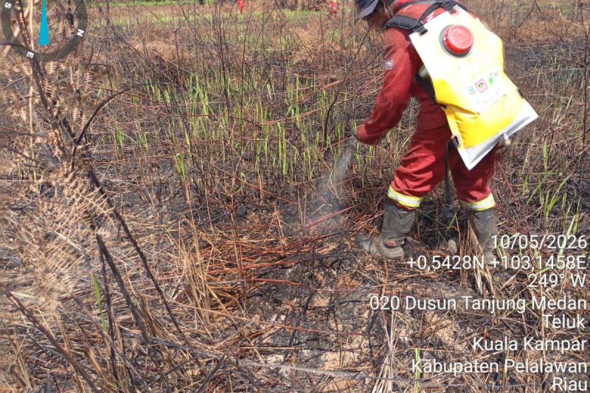 Manggala Agni padamkan karhutla 14 hektare di Pelalawan Riau