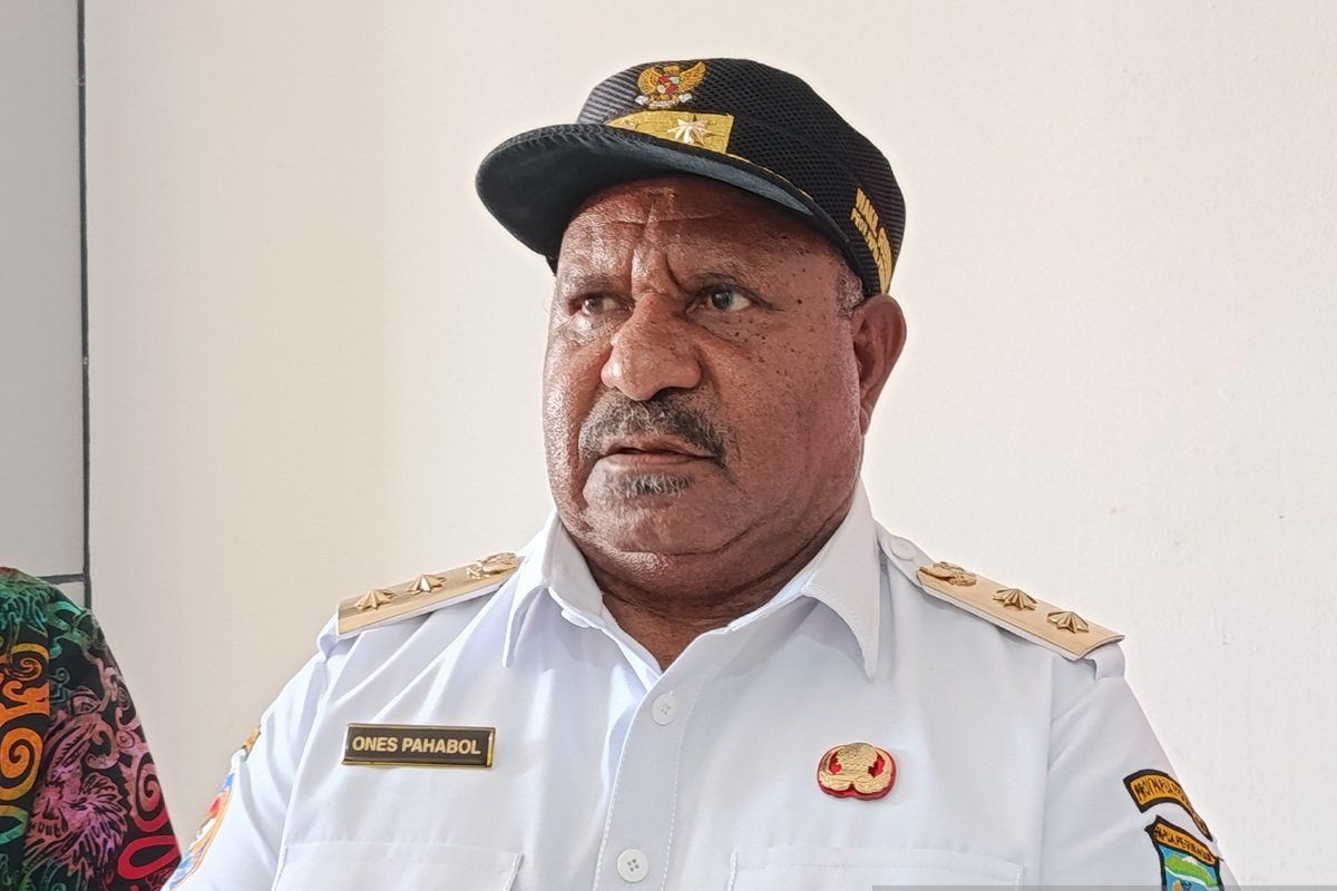 Pemprov Papua Pegunungan dorong reboisasi kawasan hutan pada 2026