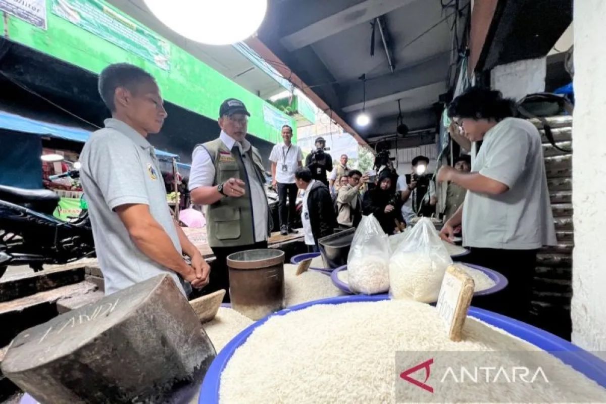Kemendag: Kenaikan harga beras dipicu meningkatnya harga gabah