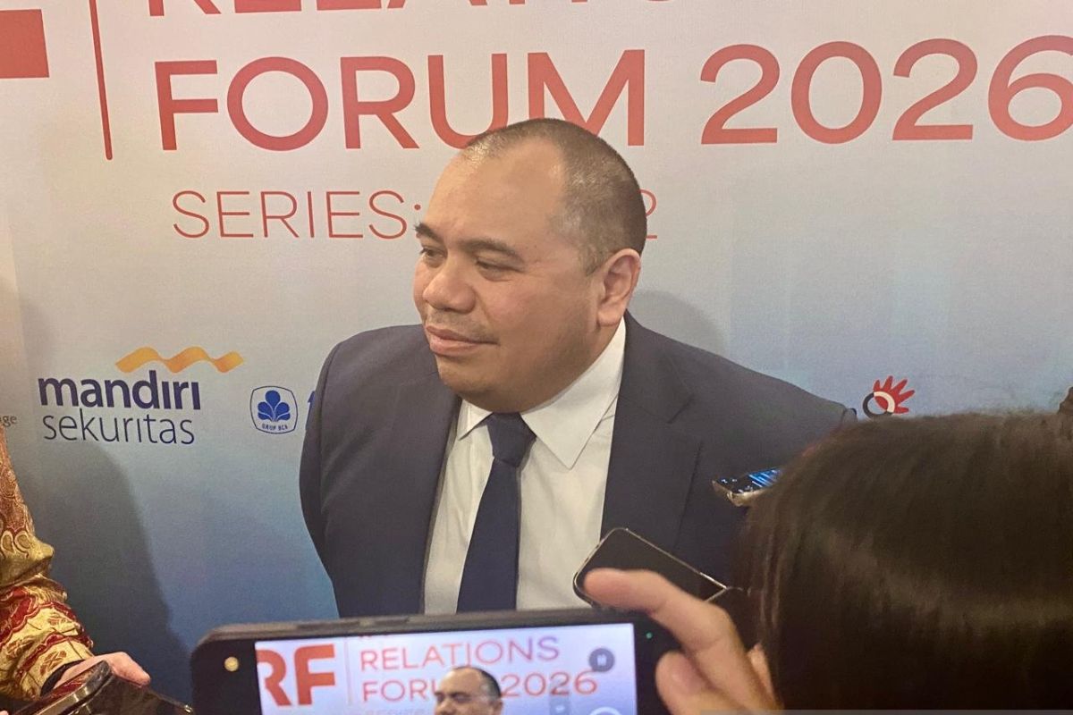 Danantara ingin holding proyek PSEL bisa IPO pada 2028