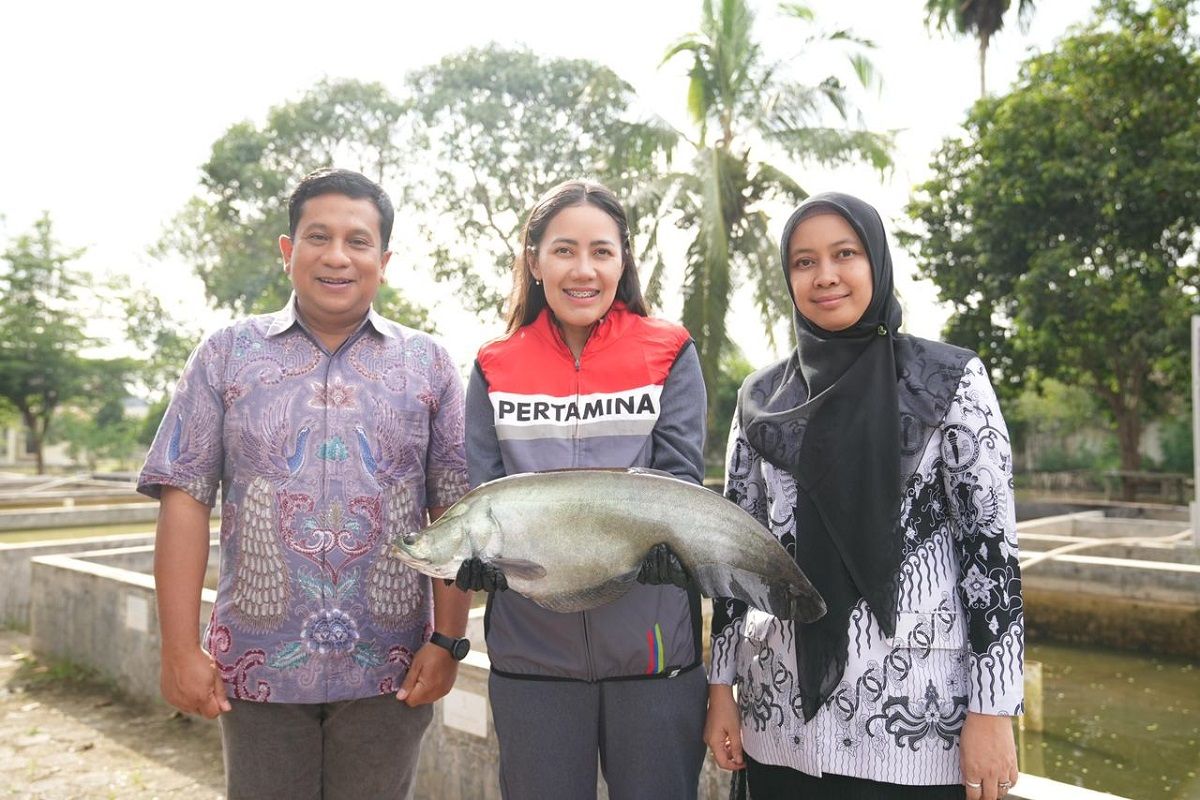 Kilang Plaju lestarikan ikan belida dan perkuat ekonomi warga Sungai Musi