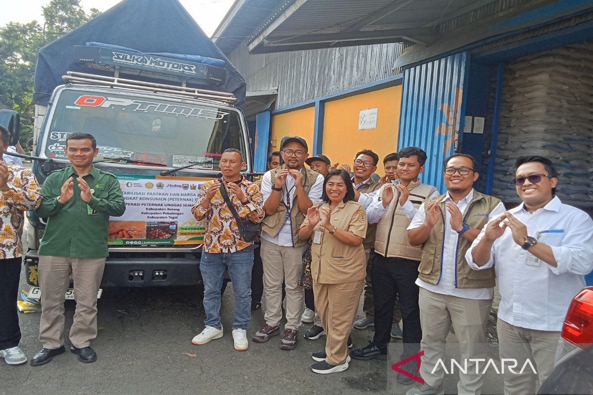 Bapanas-Bulog Jateng menyalurkan jagung SPHP peternak unggas Pekalongan