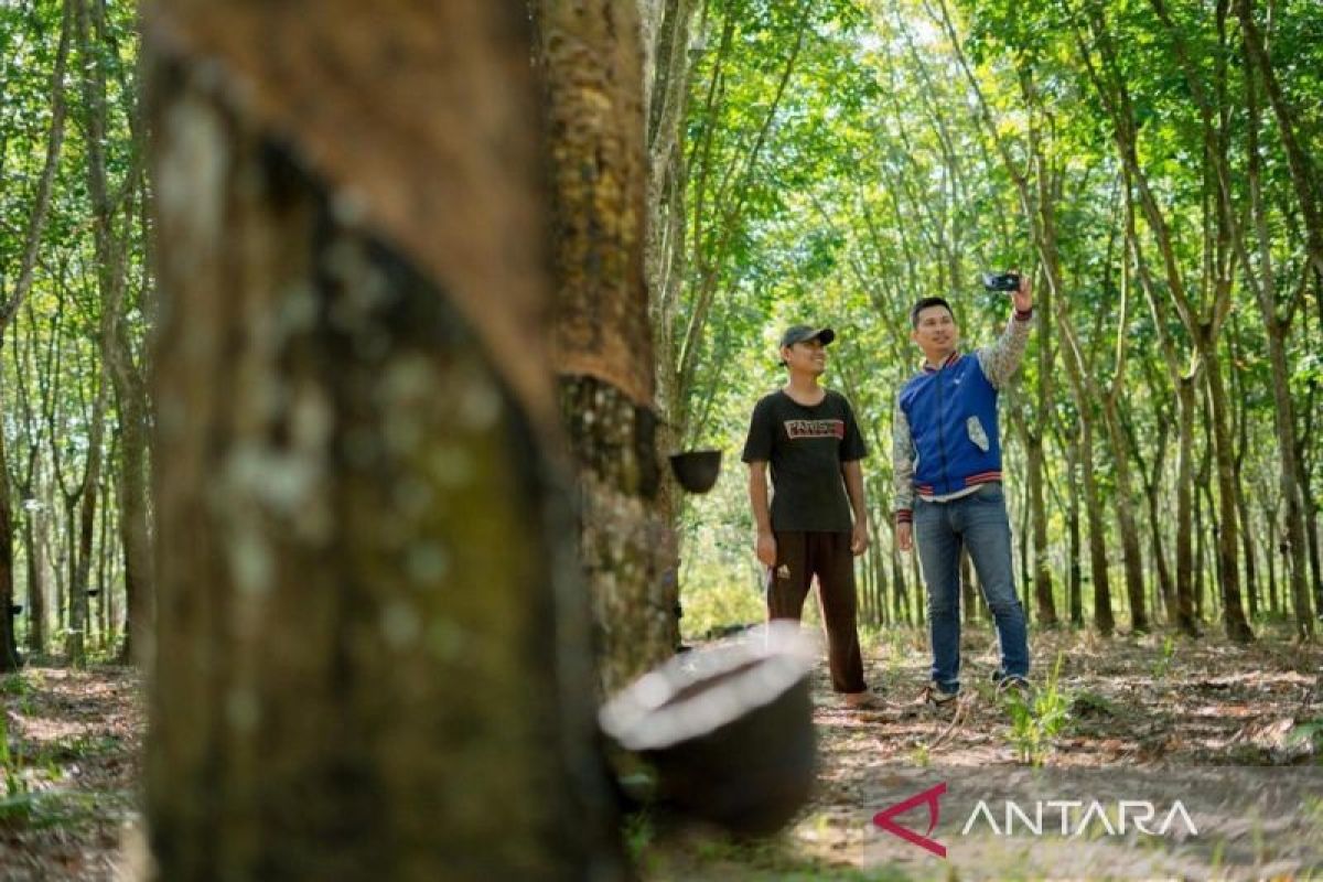 Dorong Ekonomi Hijau, BRI Kian Agresif Wujudkan Pertumbuhan Inklusif Berkelanjutan