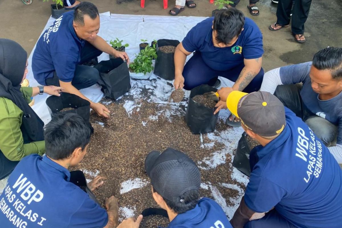 Warga binaan Lapas Semarang dilatih  budi daya sayur