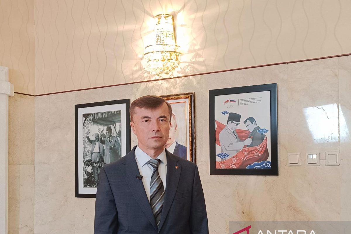 Dubes Tolchenov sebut kerja sama energi RI-Rusia terus berkembang