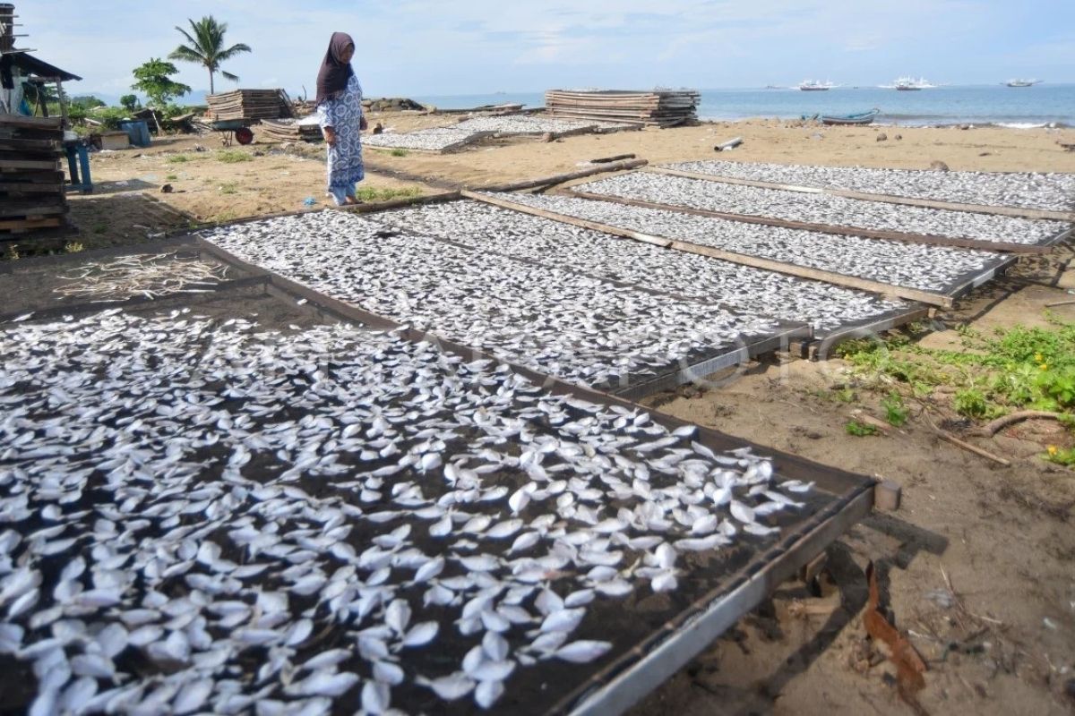 Proyeksi angka konsumsi ikan nasional 2026