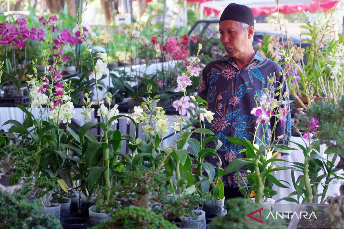Beragam tanaman hias dipamerkan di Lumintang untuk perluas jaringan pasar UMKM