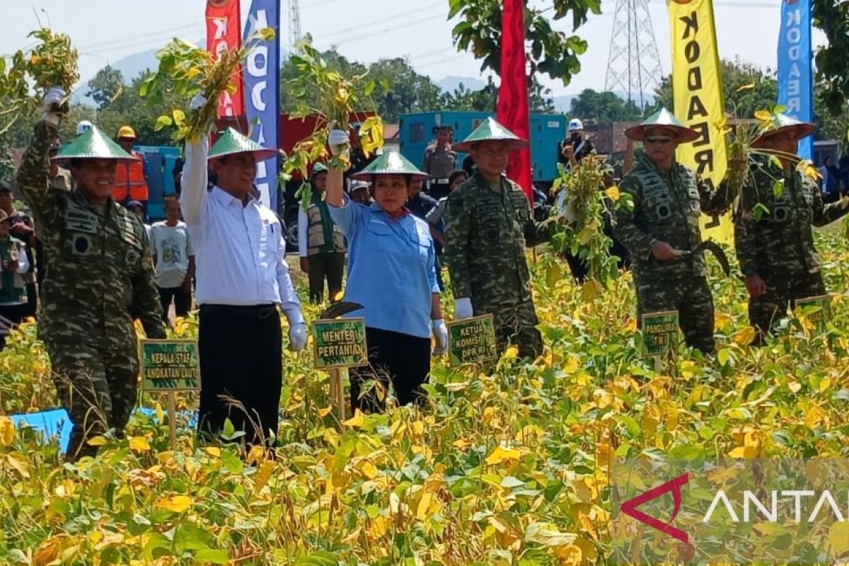 TNI dukung peningkatan produksi pangan nasional termasuk kedelai
