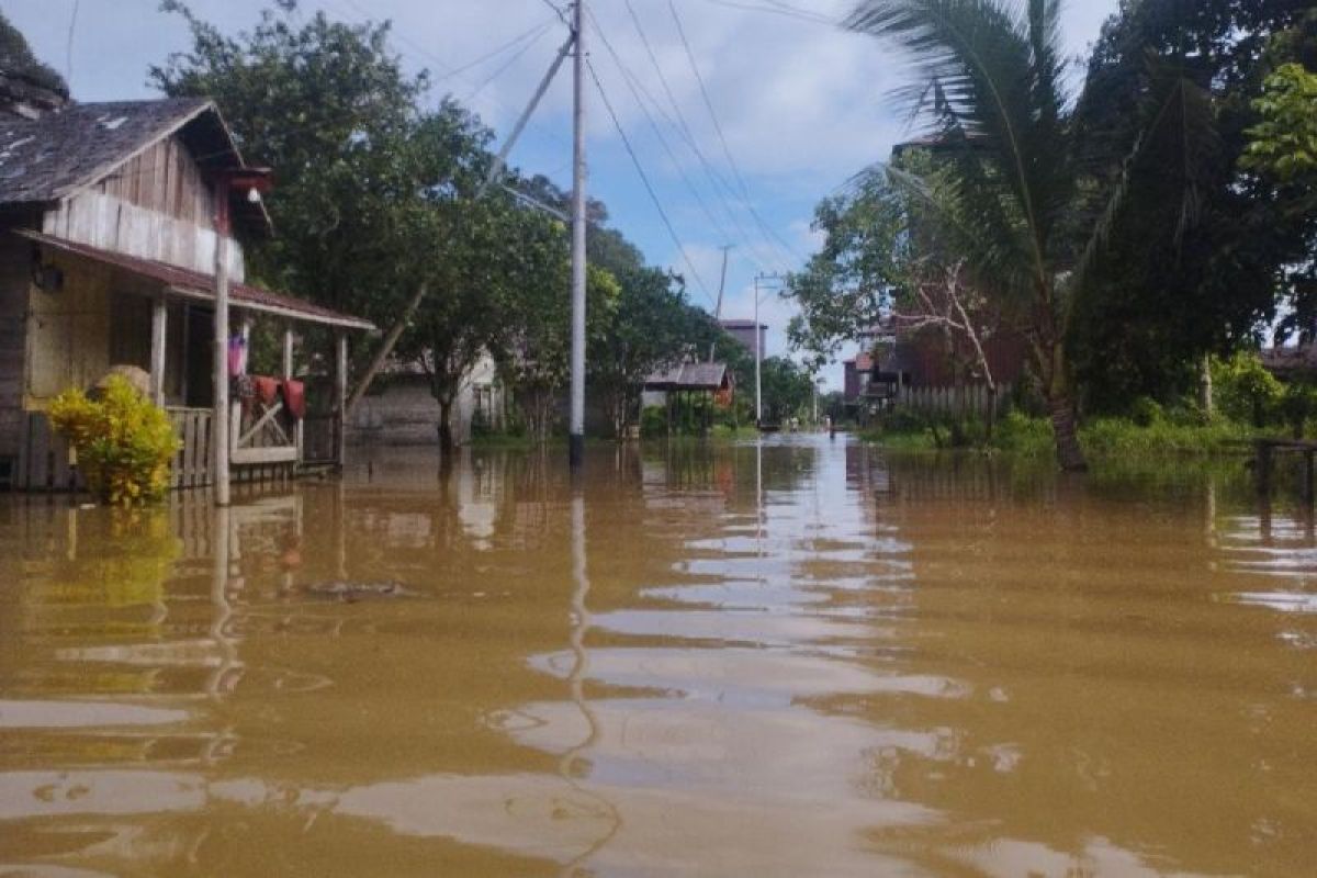 Luapan Sungai Tualan sebabkan banjir dan longsor di wilayah utara Kotim