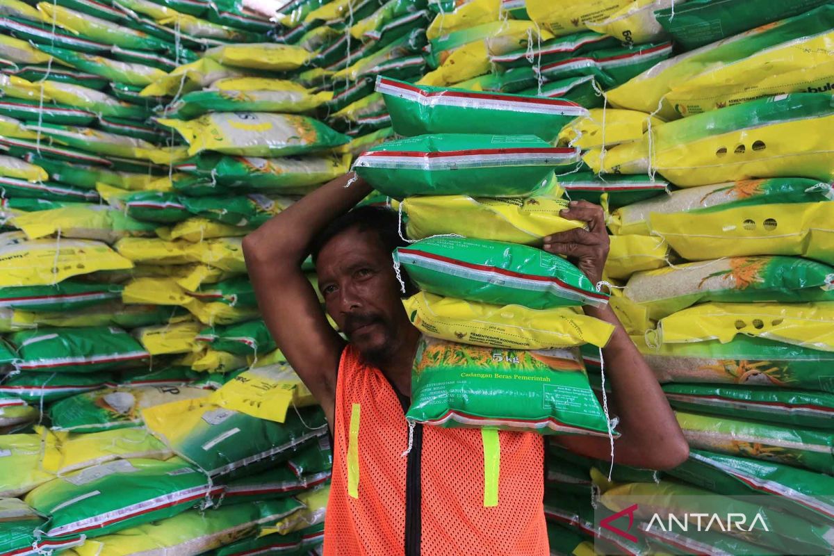 Realisasi penyaluran beras SPHP capai 428,9 ribu ton