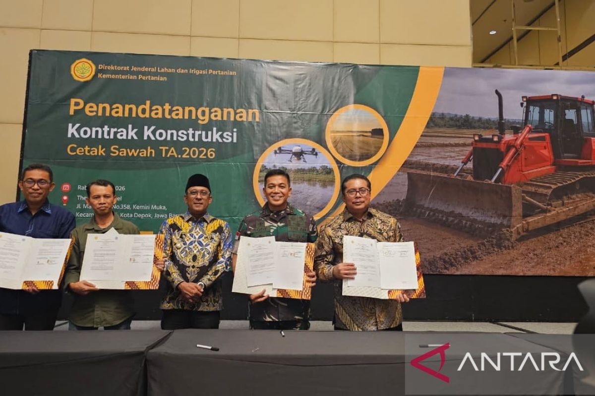 Kodam Pattimura kelola 1.454 hektare sawah untuk swasembada pangan