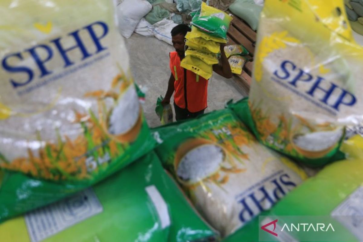 Bapanas memastikan harga beras SPHP tak naik meski fluktuasi kurs dolar