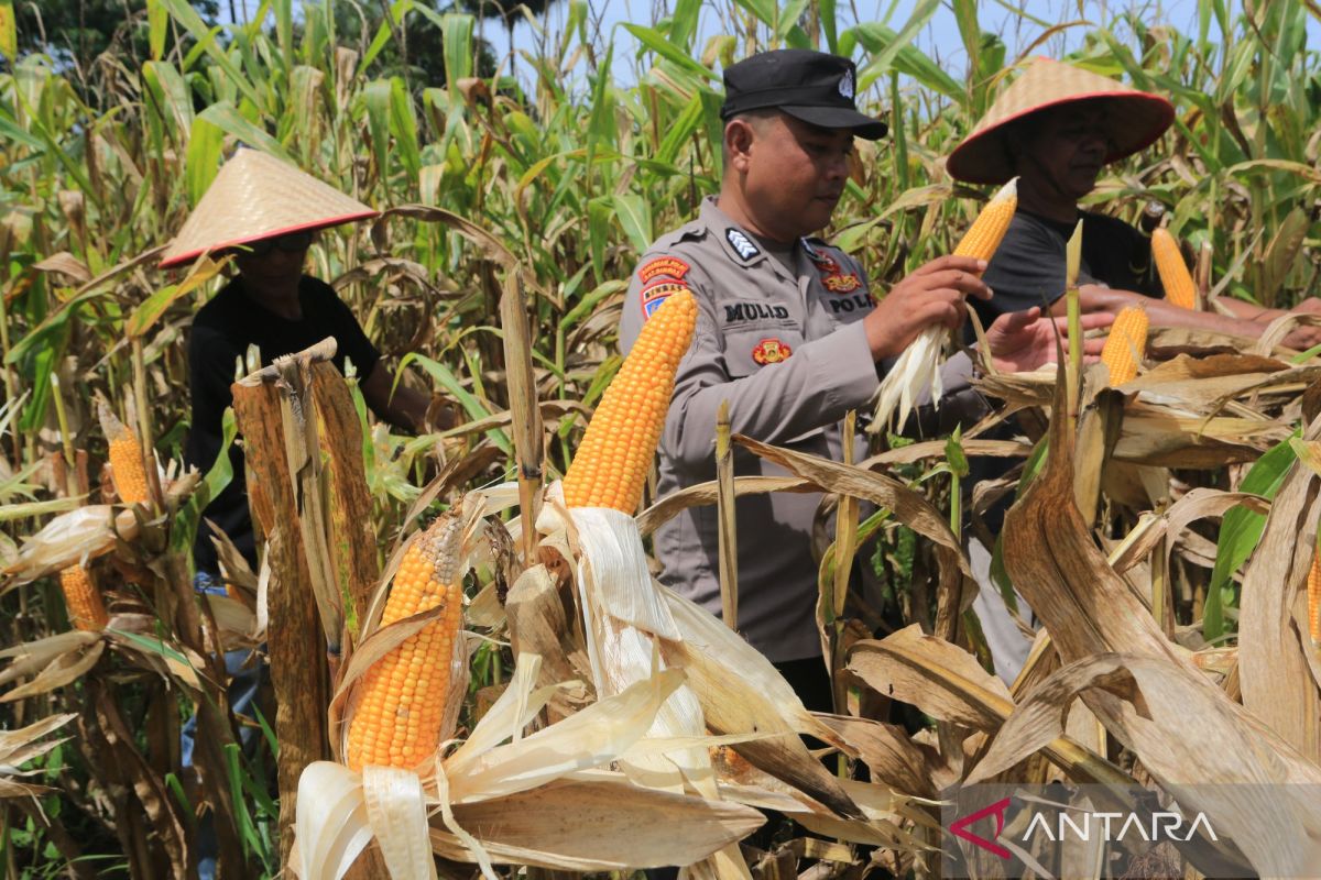 Kapolri paparkan inovasi Polri tingkatkan produksi pertanian
