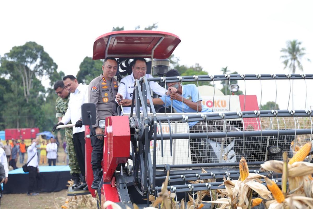 Kabupaten Ogan Komering Ulu Selatan panen raya jagung 30 ton, dukung program ketahanan pangan
