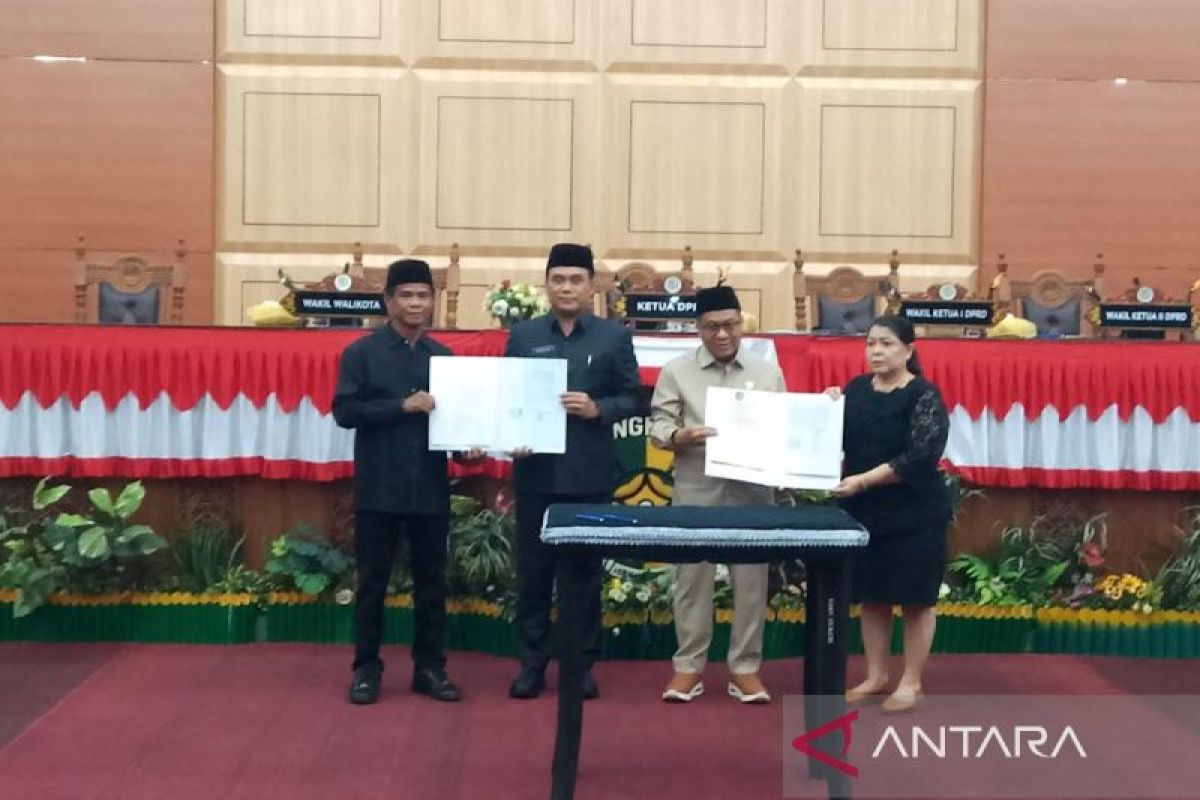 Perda PJU disahkan, DPRD harapkan Palangka Raya semakin terang