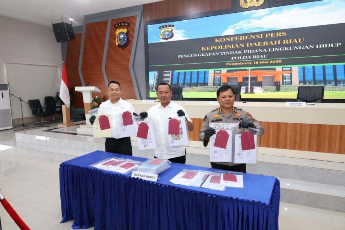 Tanam sawit di sempadan sungai, PT Musim Mas ditetapkan tersangka tindak pidana lingkungan hidup