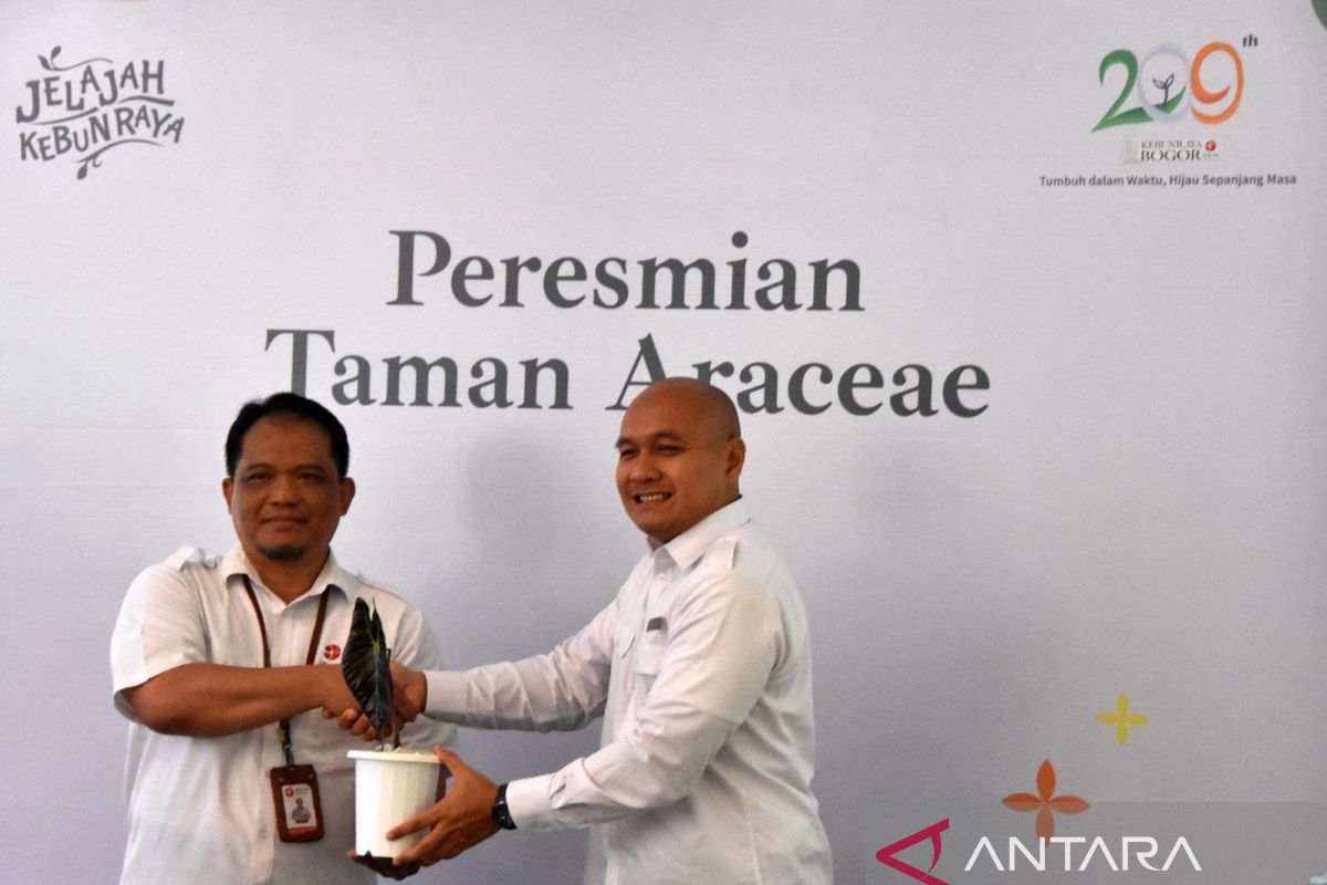 Peringati HUT ke-209 Kebun Raya Bogor hadirkan Taman Araceae