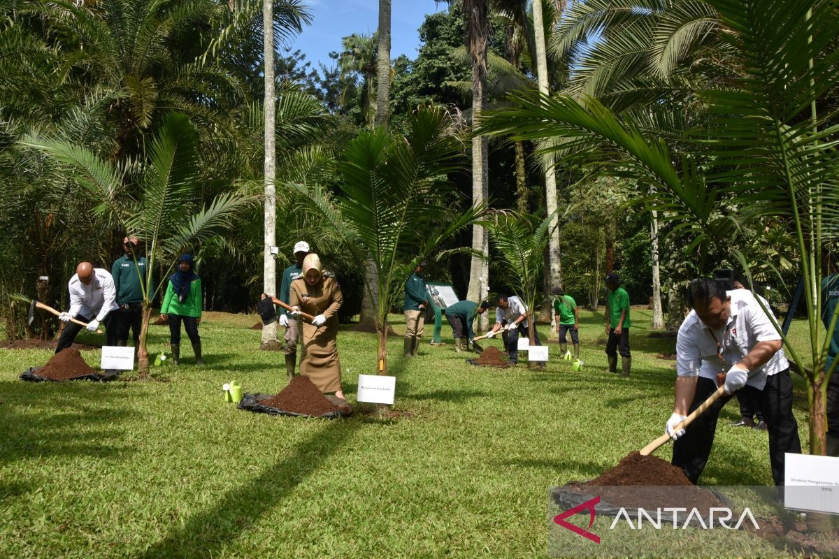 6 wisata alam di Bogor yang ramah lansia, nyaman dan mudah diakses