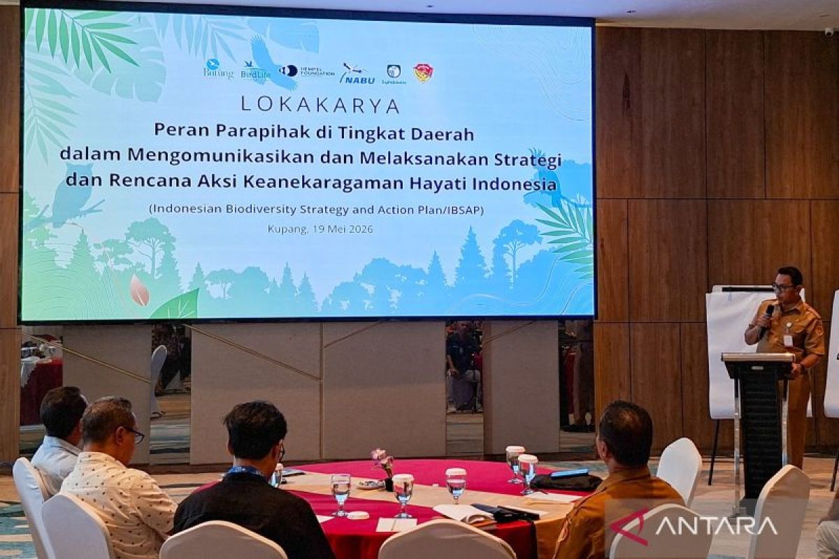 Pemprov NTT mendorong percepatan implementasi IBSAP di tingkat daerah